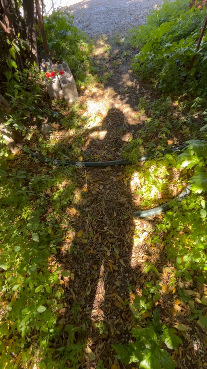 Chantier Roucas - Photo 70